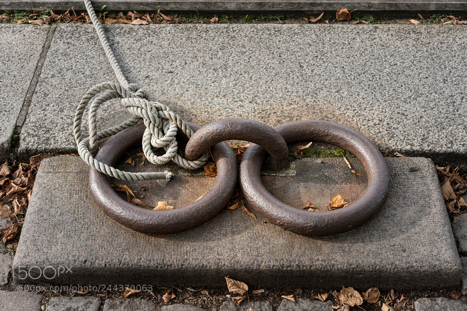 Sony a7R II sample photo. Old iron rings with photography