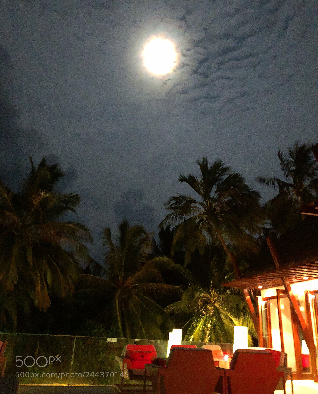Apple iPhone 8 Plus sample photo. Untitled photography