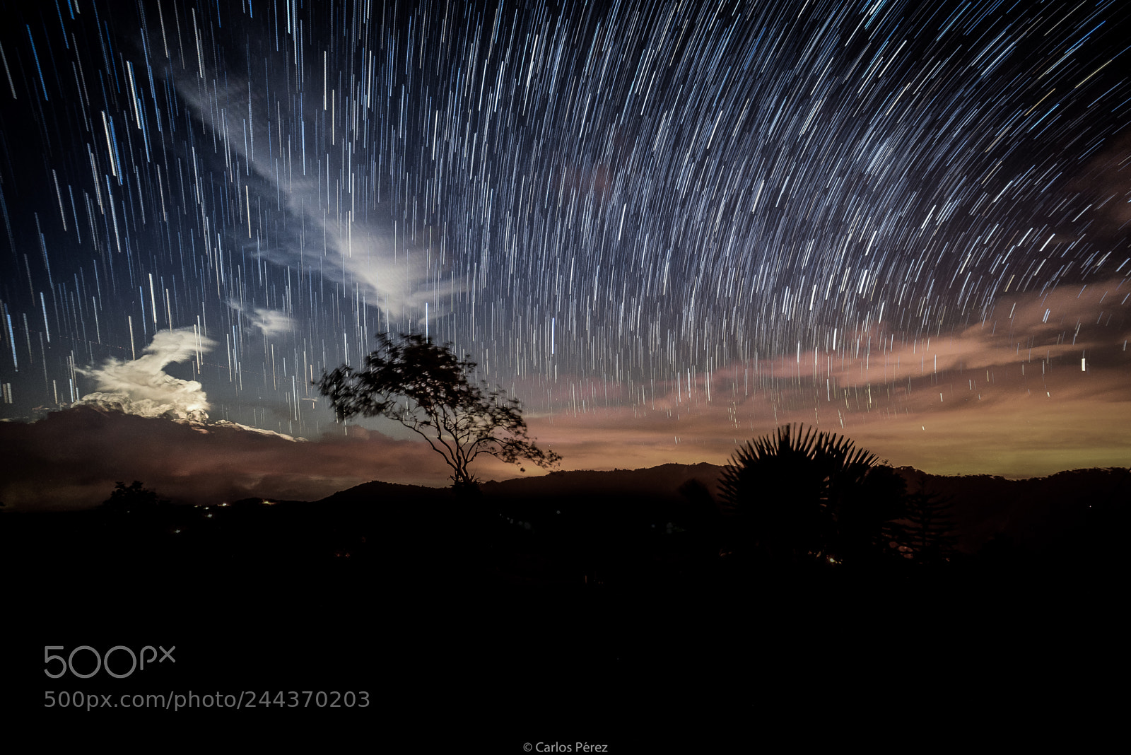 Nikon D610 sample photo. Startrail #5 photography