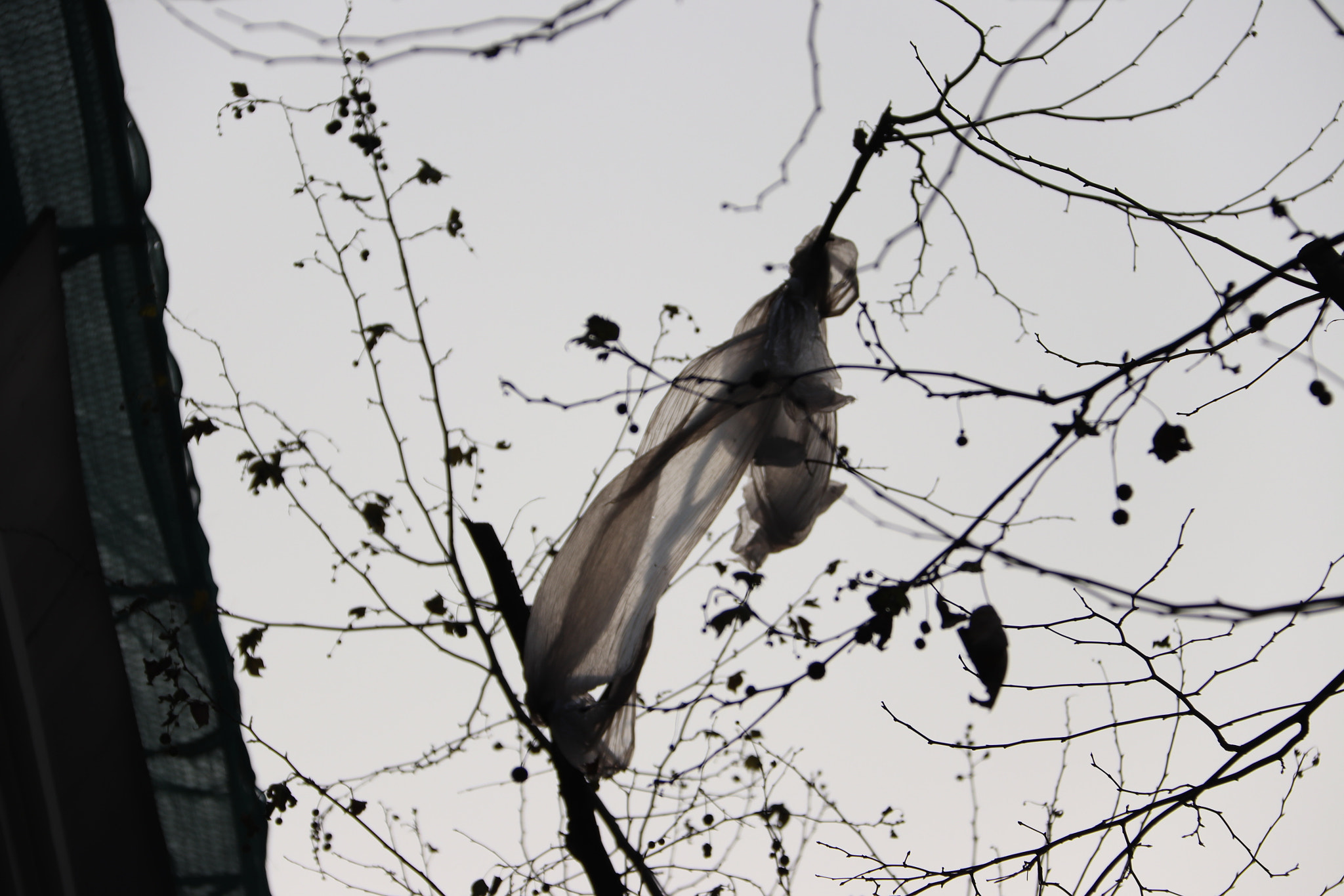 Canon EF-S 18-200mm F3.5-5.6 IS sample photo. White pollution photography