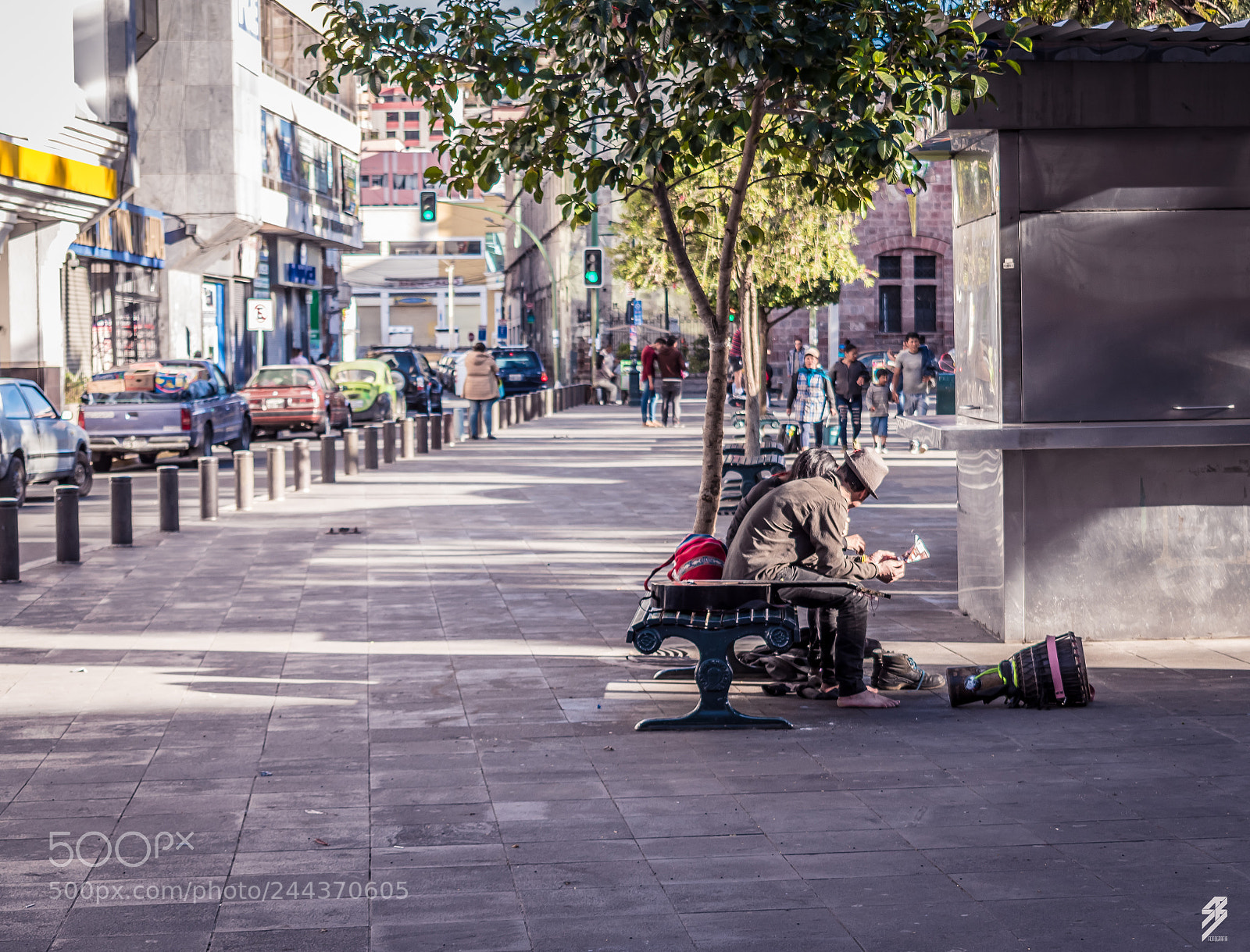 Nikon D5600 sample photo. Untitled photography