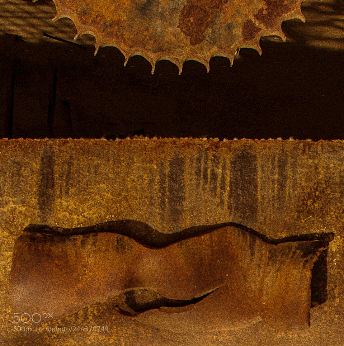 Nikon D800 sample photo. Rust with a buzz photography