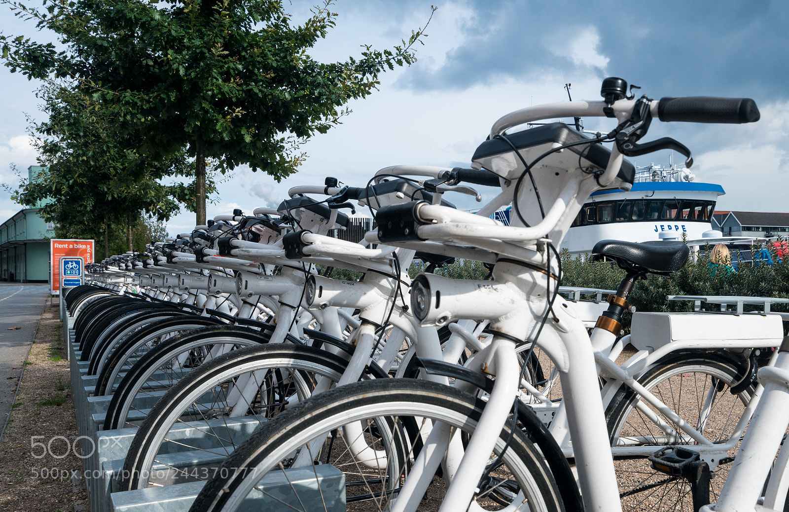 Sony a7R II sample photo. Bikes lined up on photography