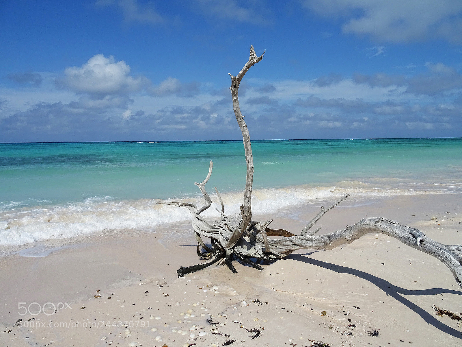 Sony DSC-HX60 sample photo. Cayo jutías photography