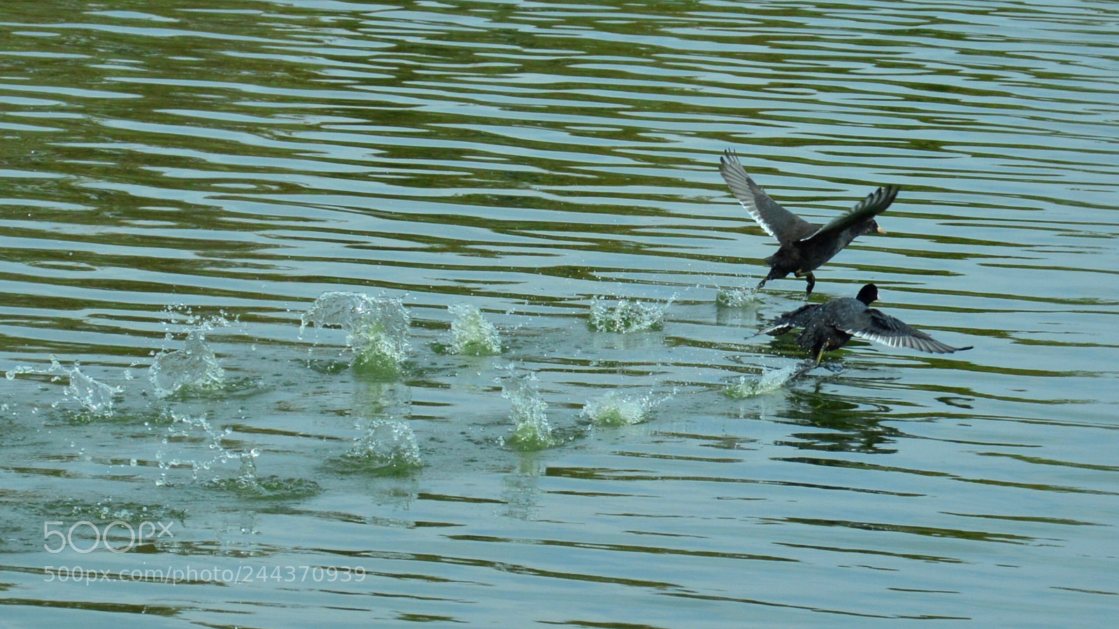 Nikon D3200 sample photo. Csc photography