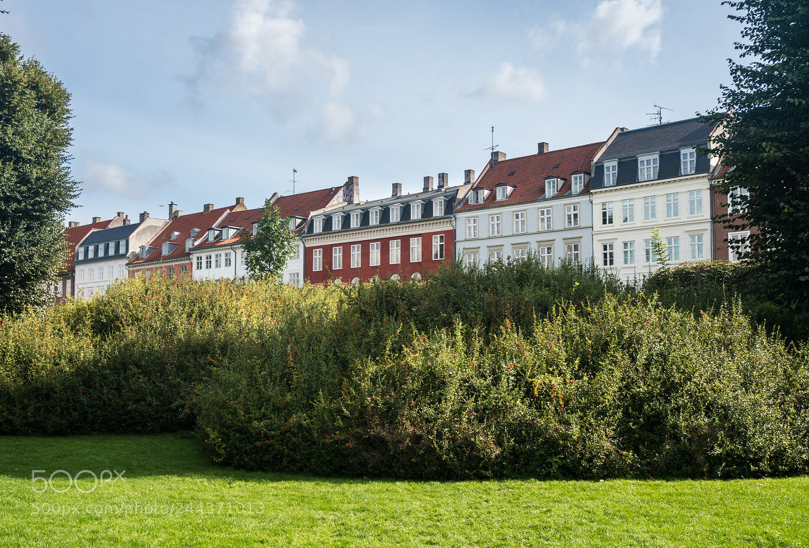 Sony a7R II sample photo. Row of colorful homes photography