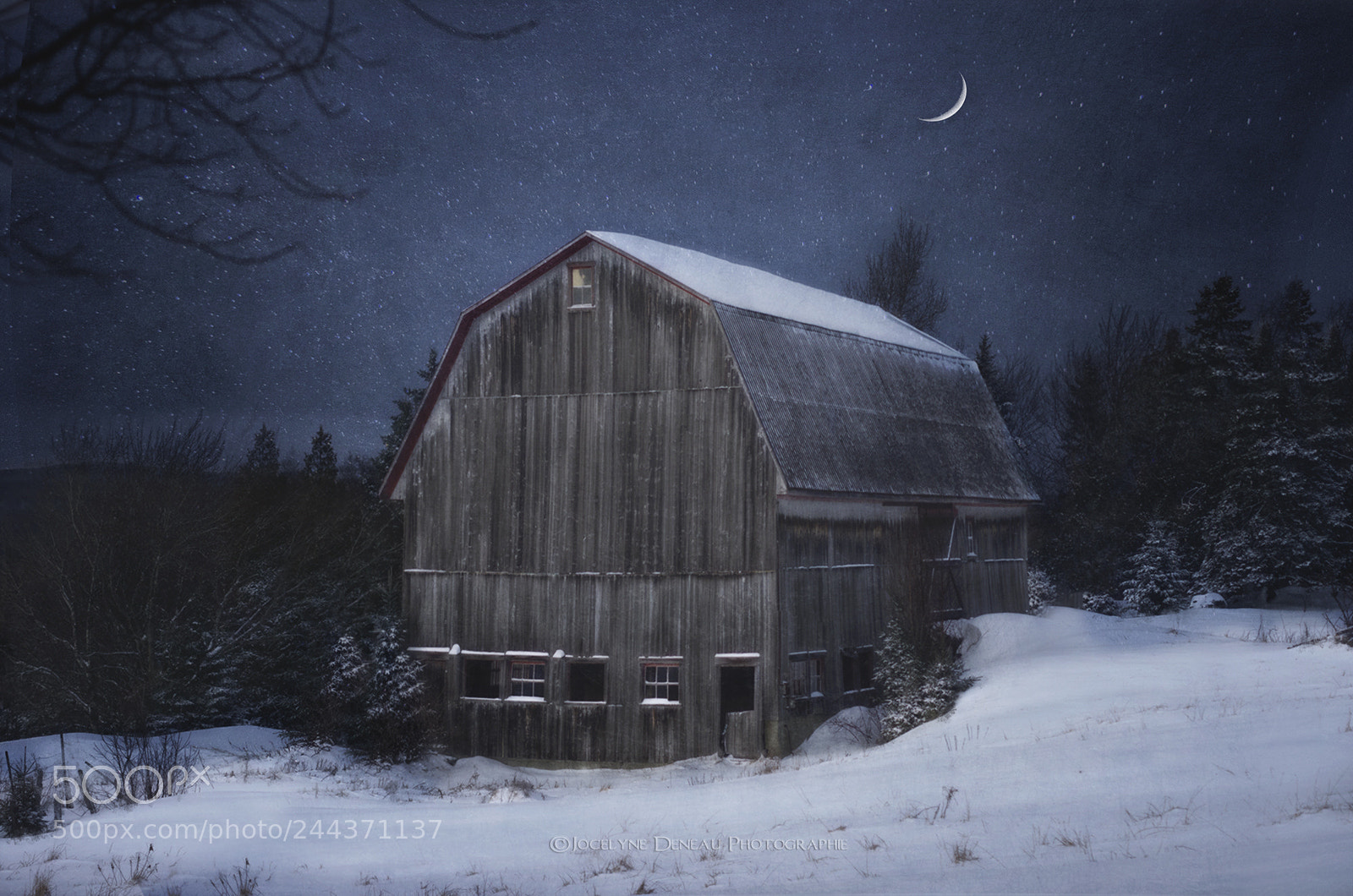 Pentax K-5 sample photo. A winter's night photography