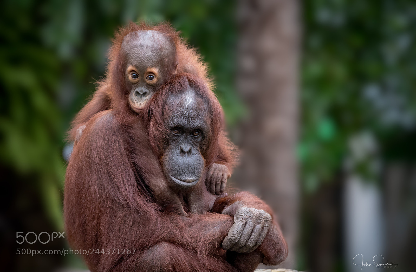 Nikon D810 sample photo. Untitled photography