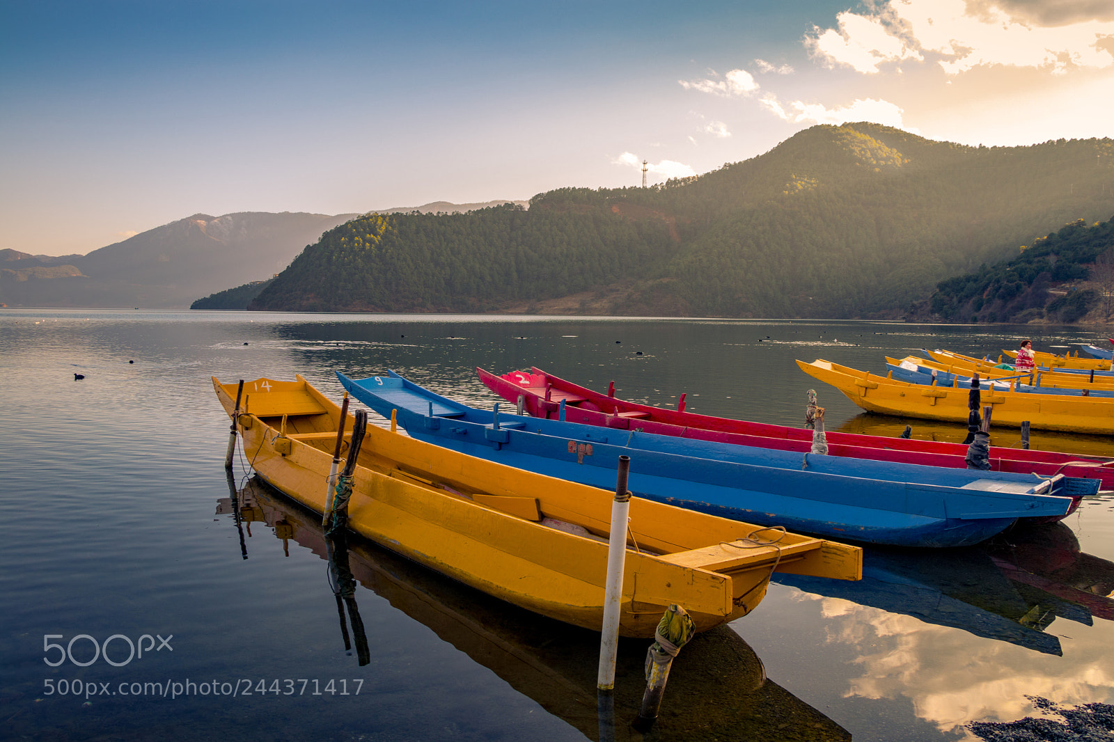 Canon EOS 800D (EOS Rebel T7i / EOS Kiss X9i) sample photo. Lake lugu, yunan photography