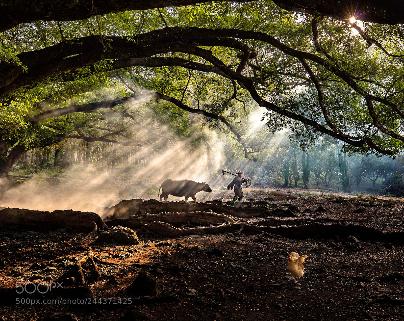 Canon EOS 5DS R sample photo. Untitled photography