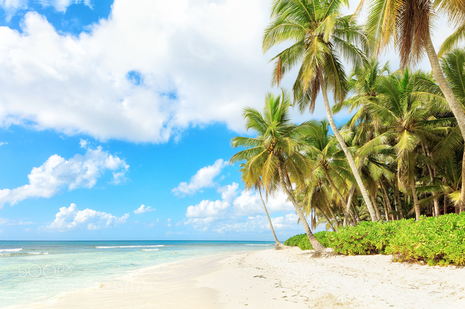 Canon EOS 5DS R sample photo. Vacation in dominican republic photography