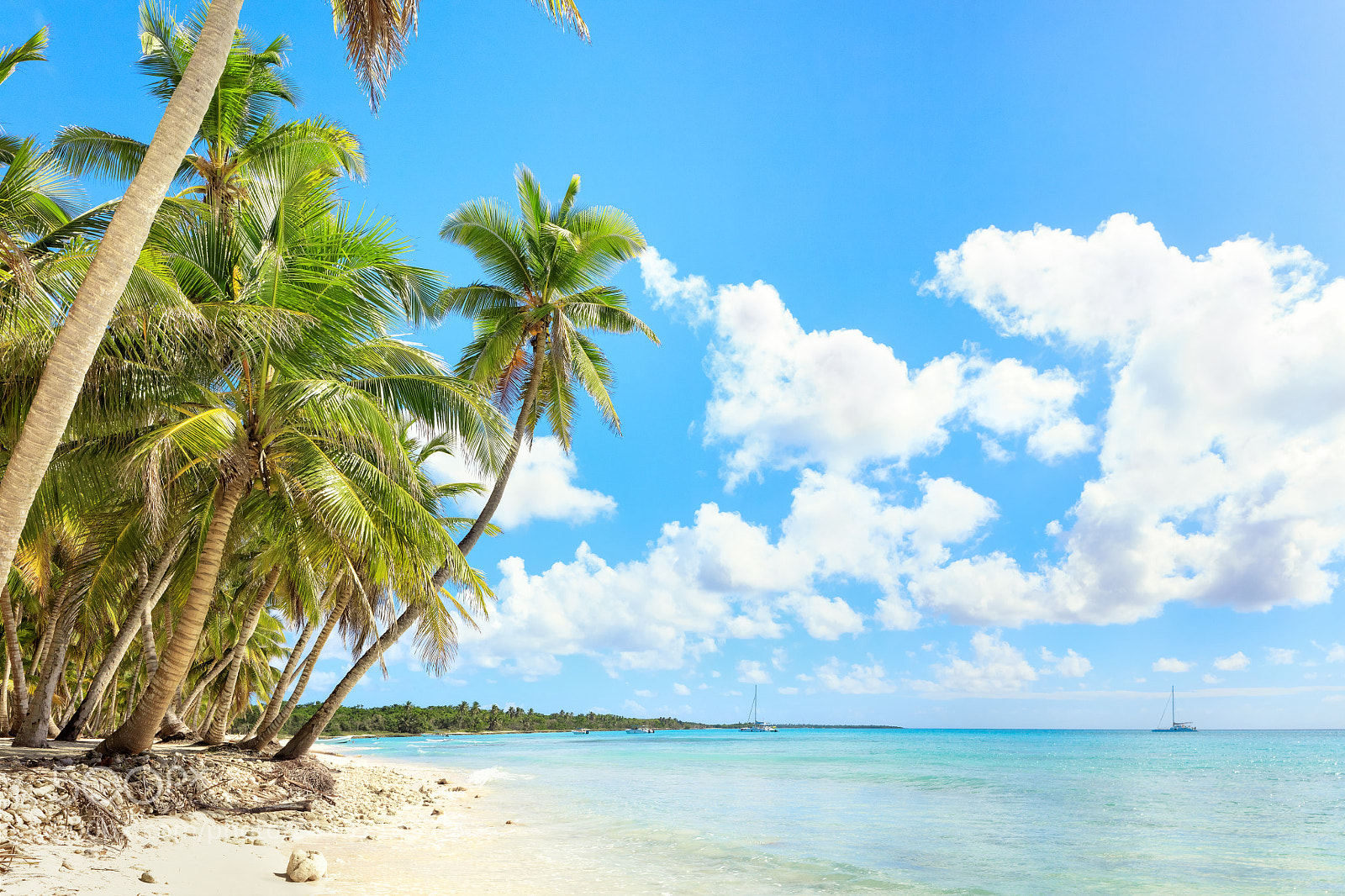 Canon EOS 5DS R sample photo. Vacation in dominican republic photography