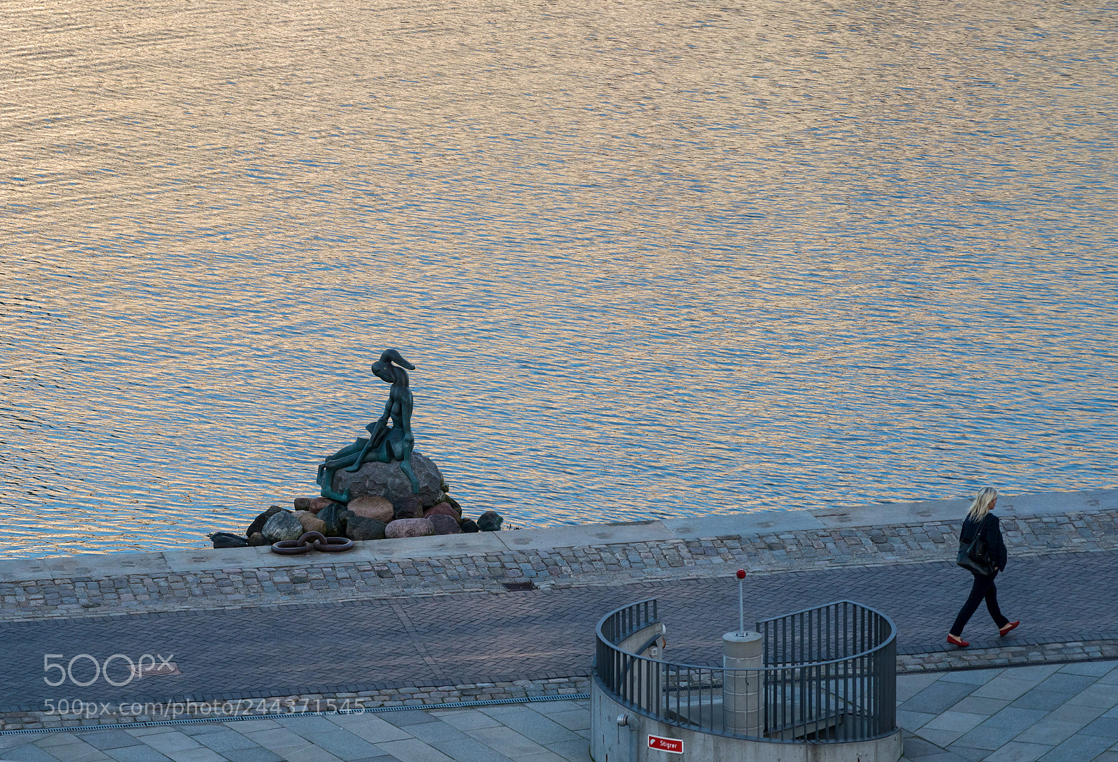 Sony a7R II sample photo. Genetically modified little mermaid photography