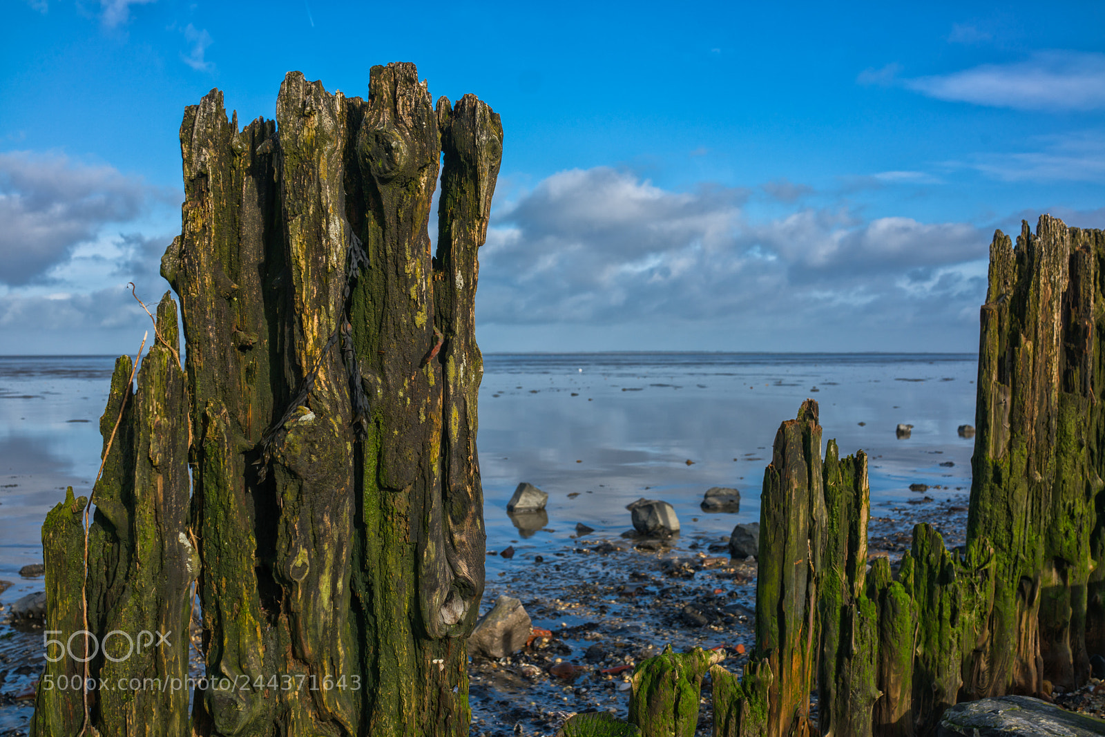 Sony Cyber-shot DSC-RX1R II sample photo. Dutch landscape photography