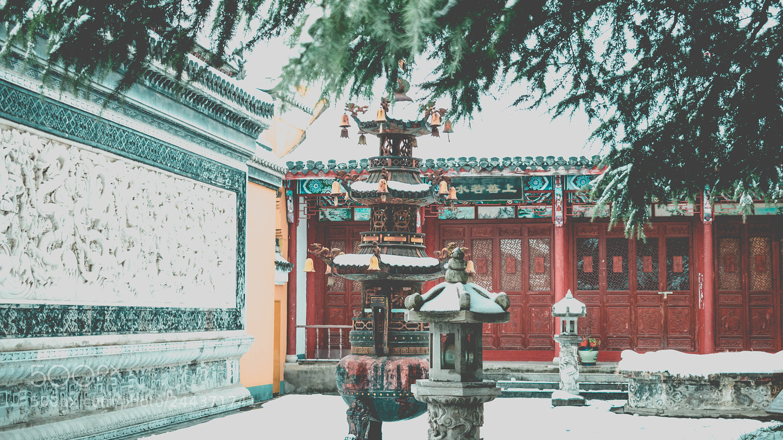 Nikon D5600 sample photo. Untitled photography