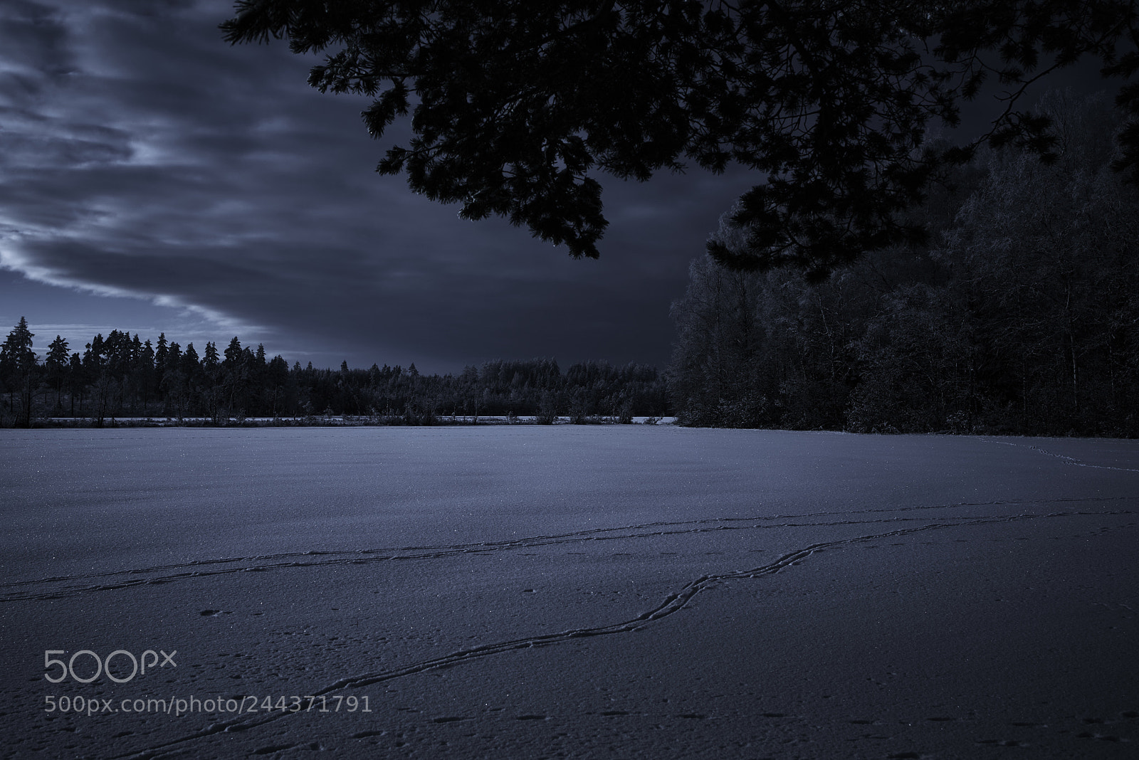 Nikon D800E sample photo. Tracks in the dark photography
