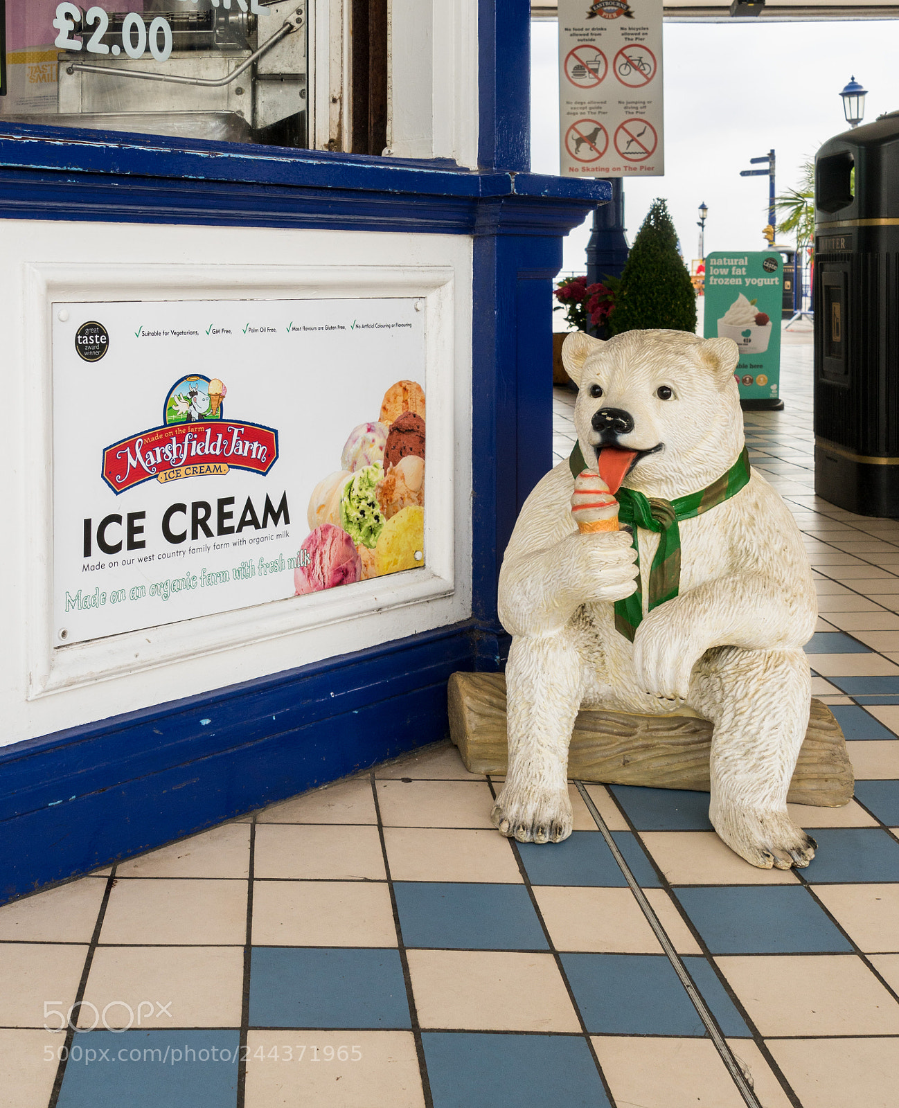 Sony a7R II sample photo. Cute bear statue advertizing photography