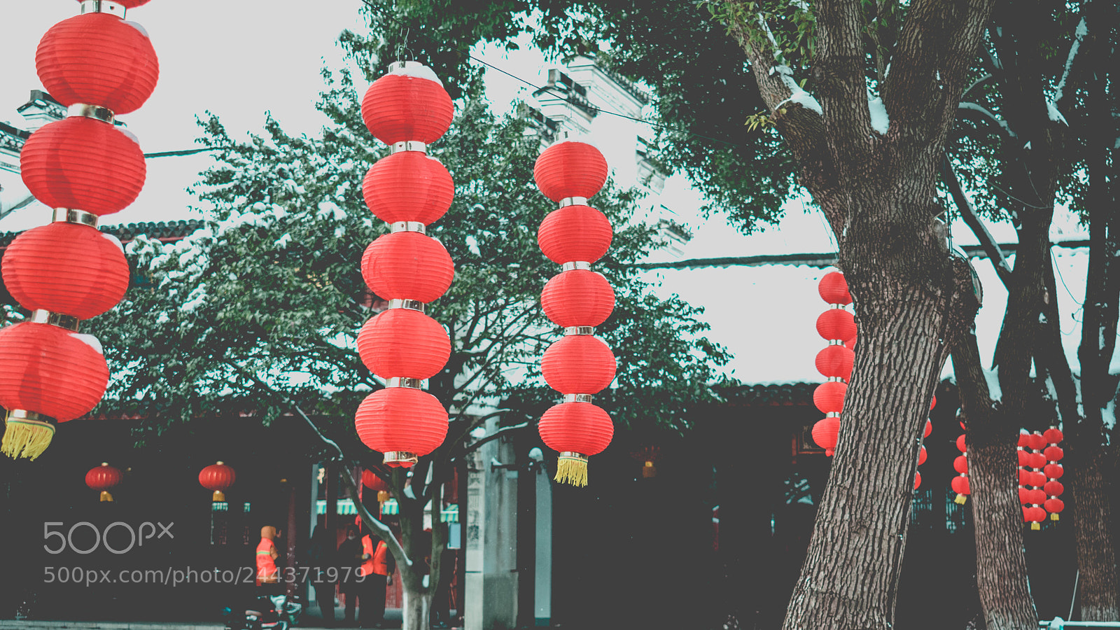 Nikon D5600 sample photo. Untitled photography