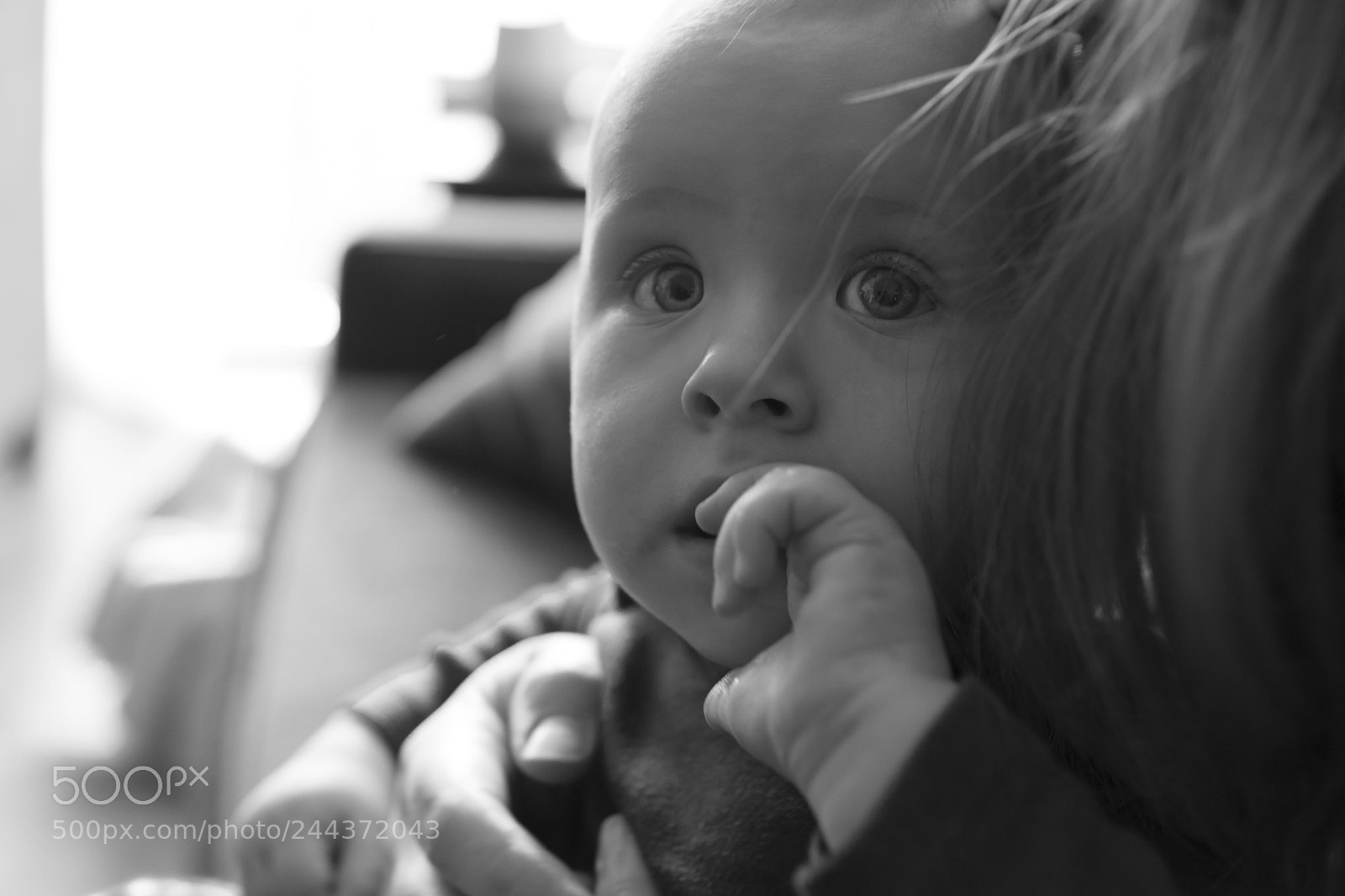 Nikon D7200 sample photo. Sic parvis magna photography