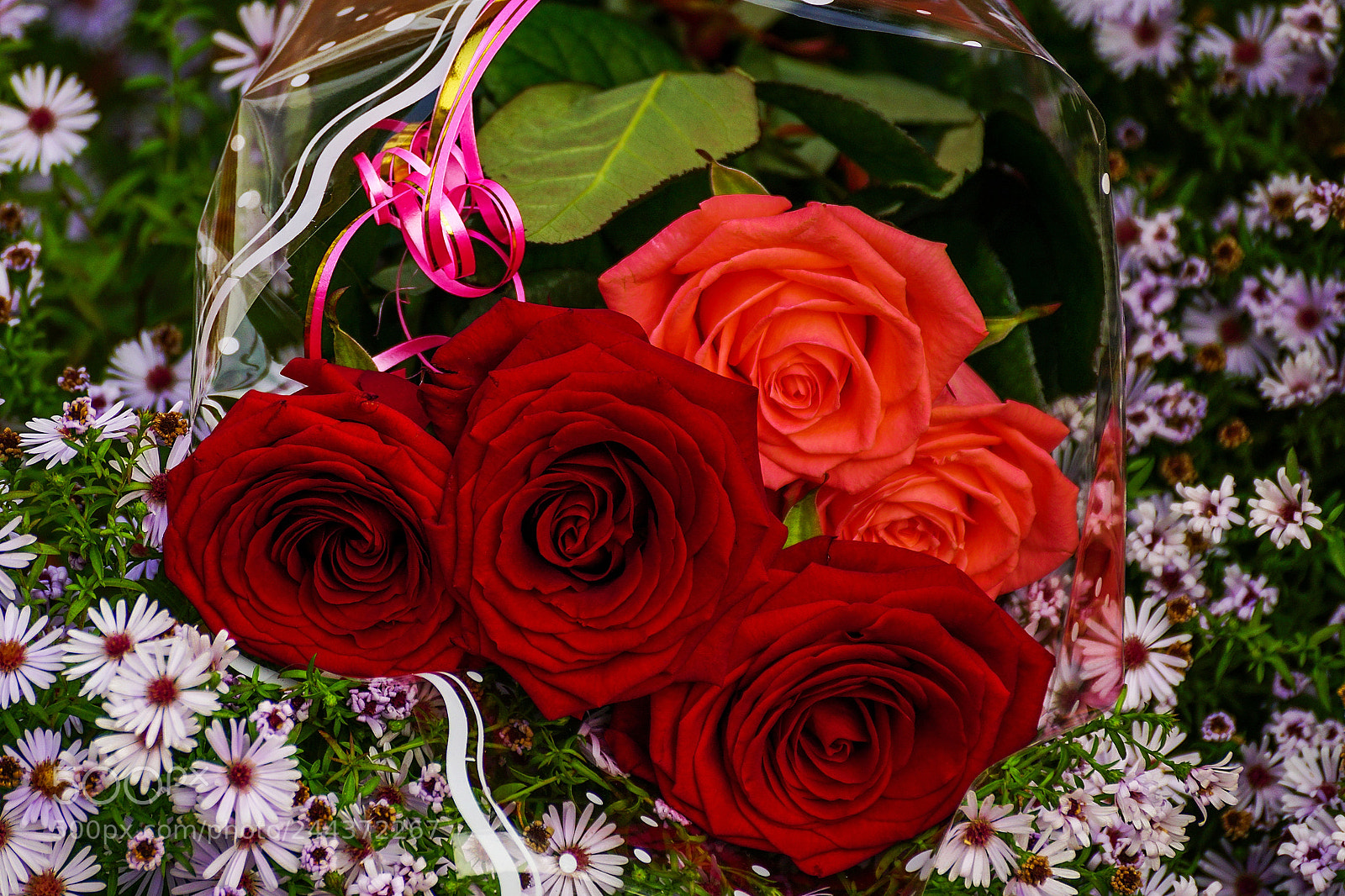 Sony ILCA-77M2 sample photo. Bouquet of roses for photography