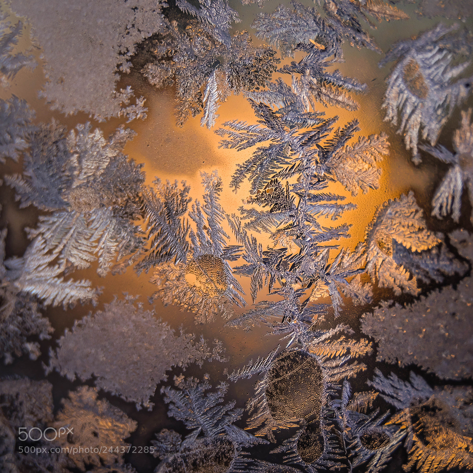 Fujifilm X-T10 sample photo. Evening frost photography