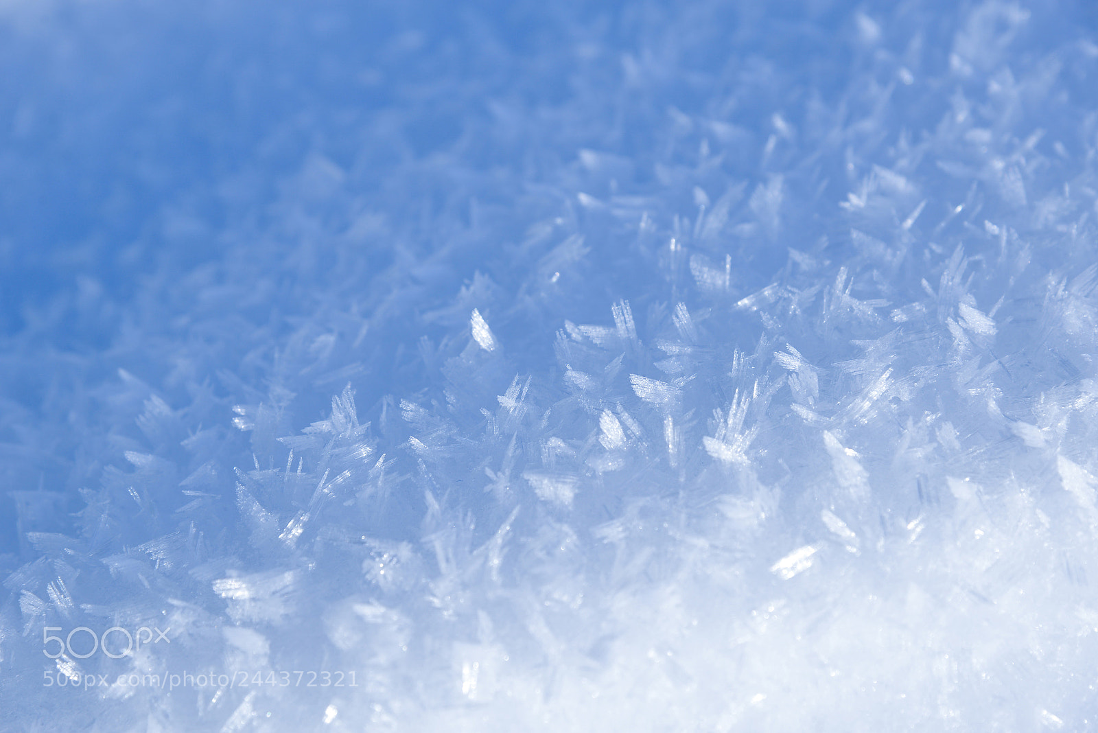 Nikon D610 sample photo. Frost photography
