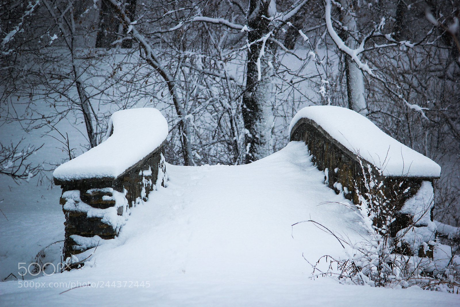 Canon EOS 550D (EOS Rebel T2i / EOS Kiss X4) sample photo. Snow covered bridge photography