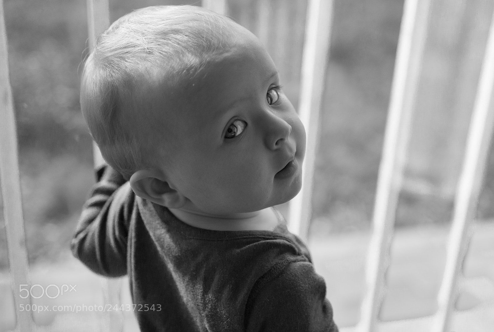 Nikon D7200 sample photo. Curiosity photography