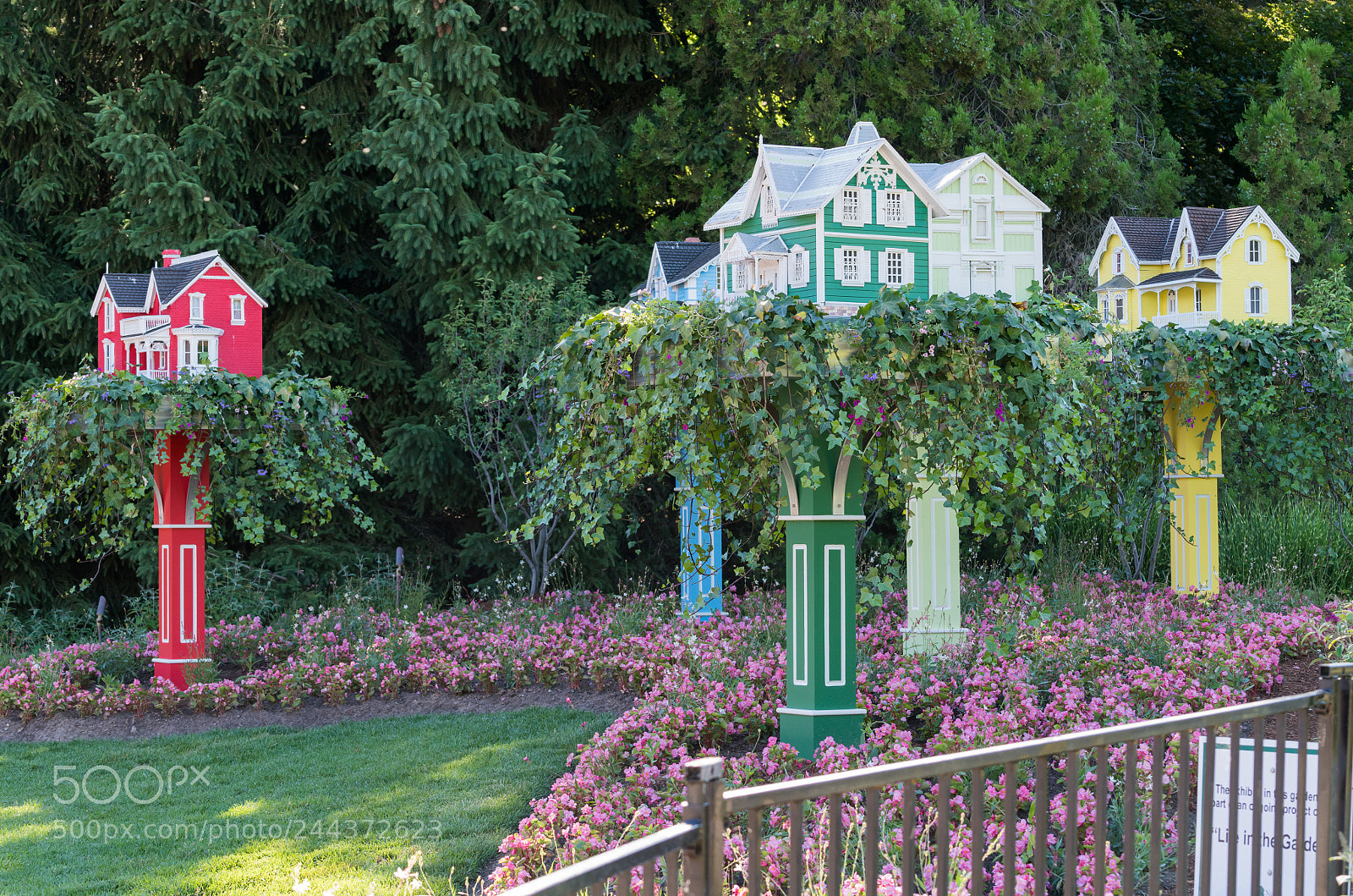Sony a7R II sample photo. Detailed birdhouses built like photography