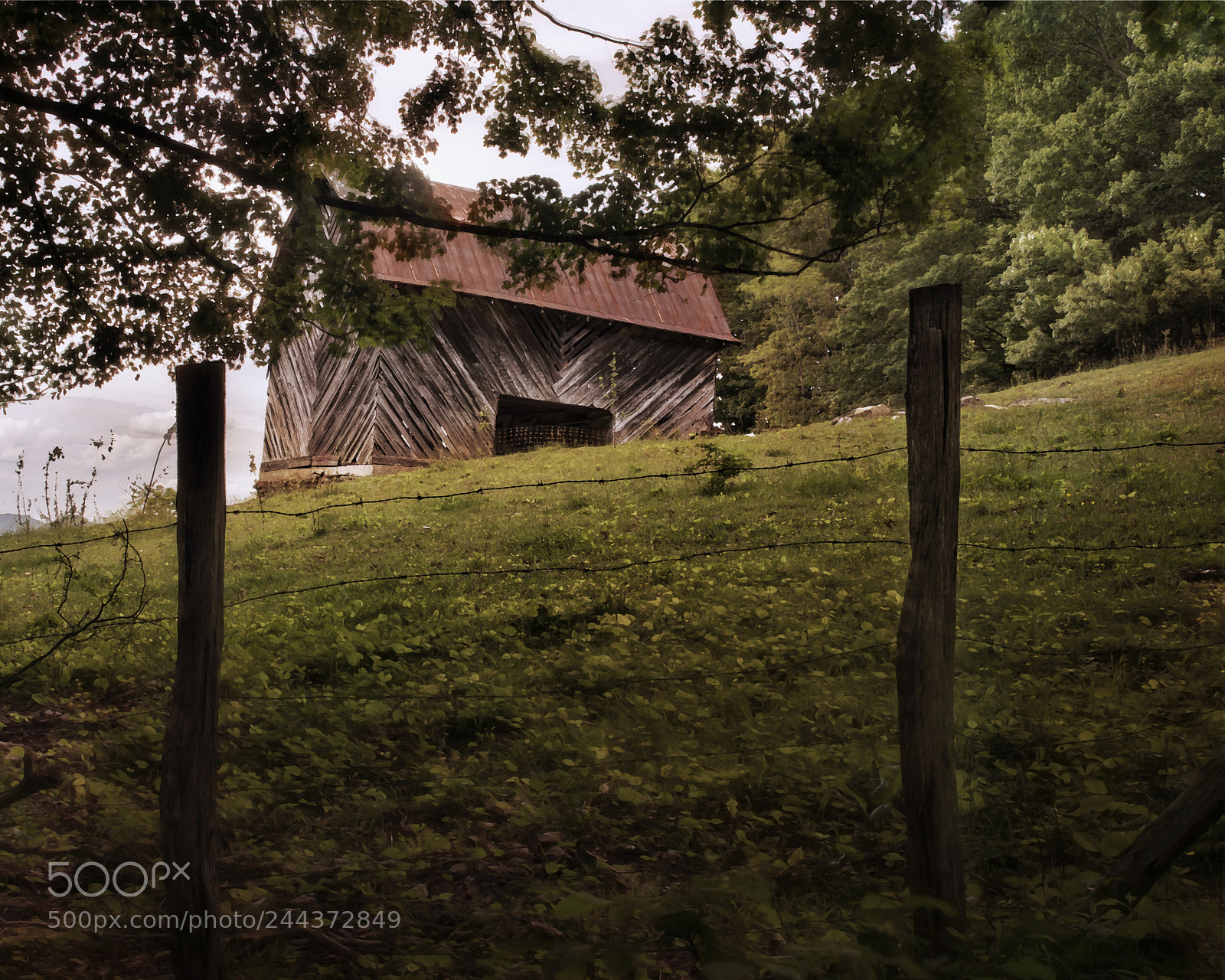 Nikon D7100 sample photo. Herringbone barn photography