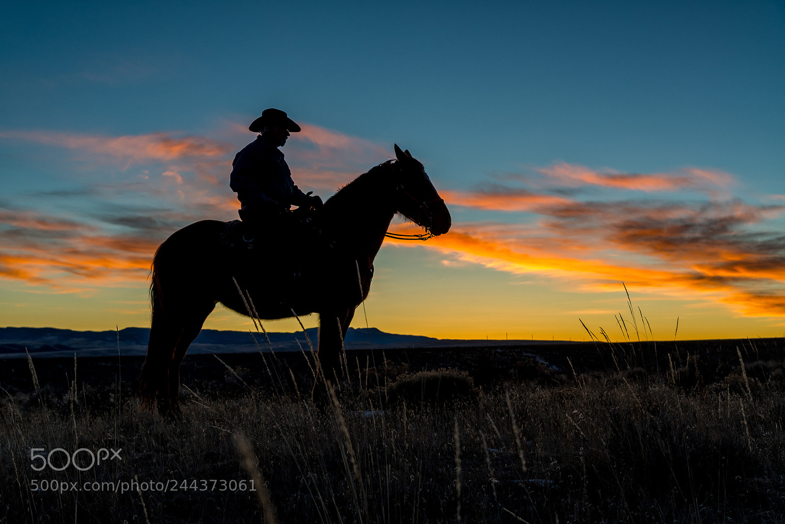 Nikon D800 sample photo. Cowboy sunrise photography