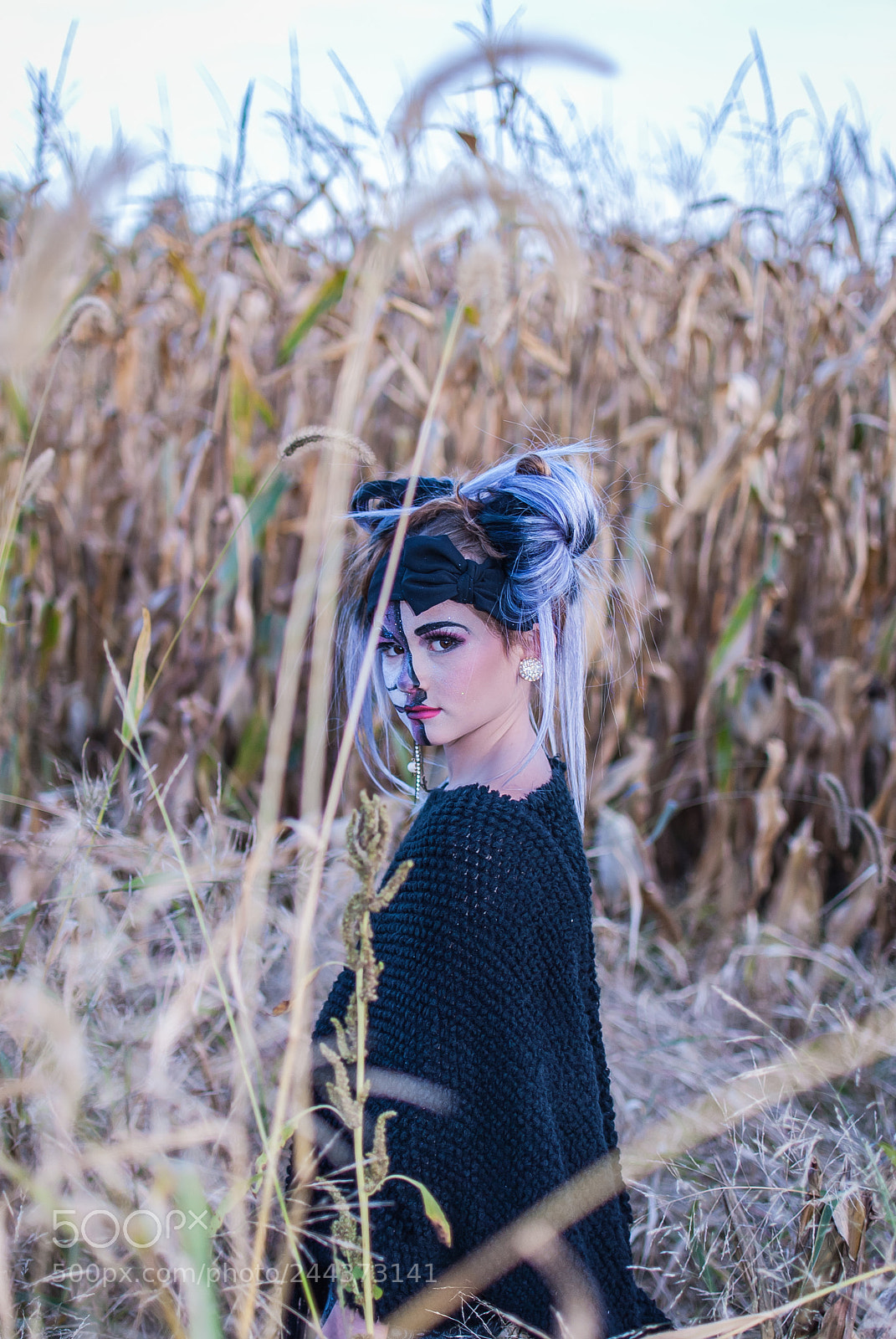 Nikon D200 sample photo. Skull beauty photography