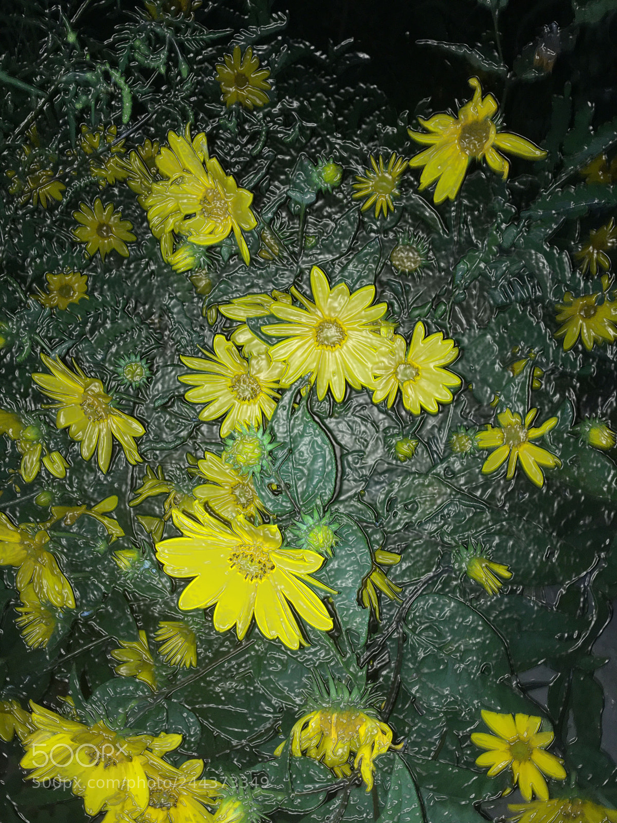 Apple iPod touch sample photo. Wrapped flowers photography