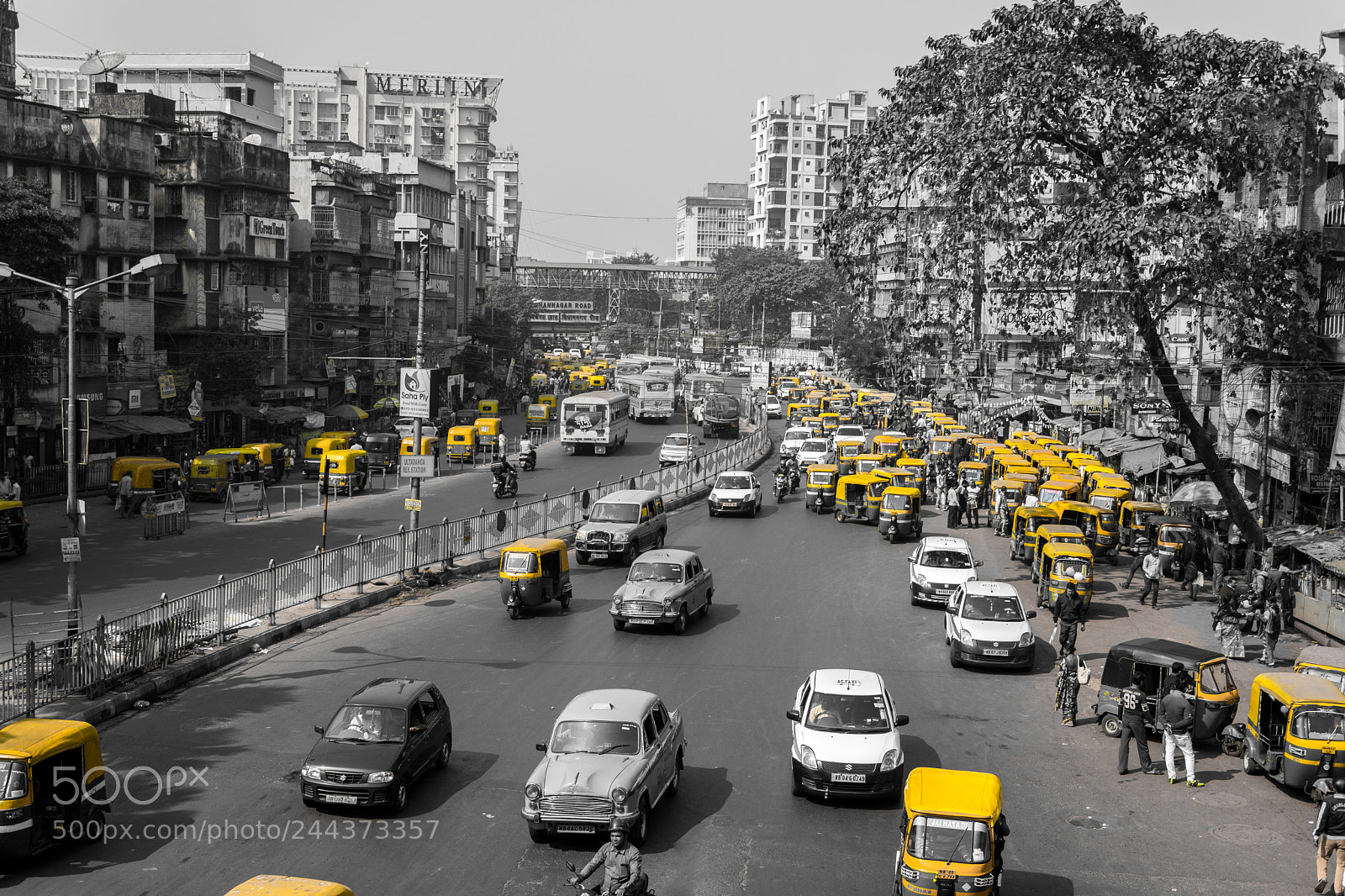 Nikon D7500 sample photo. Yellow filter photography
