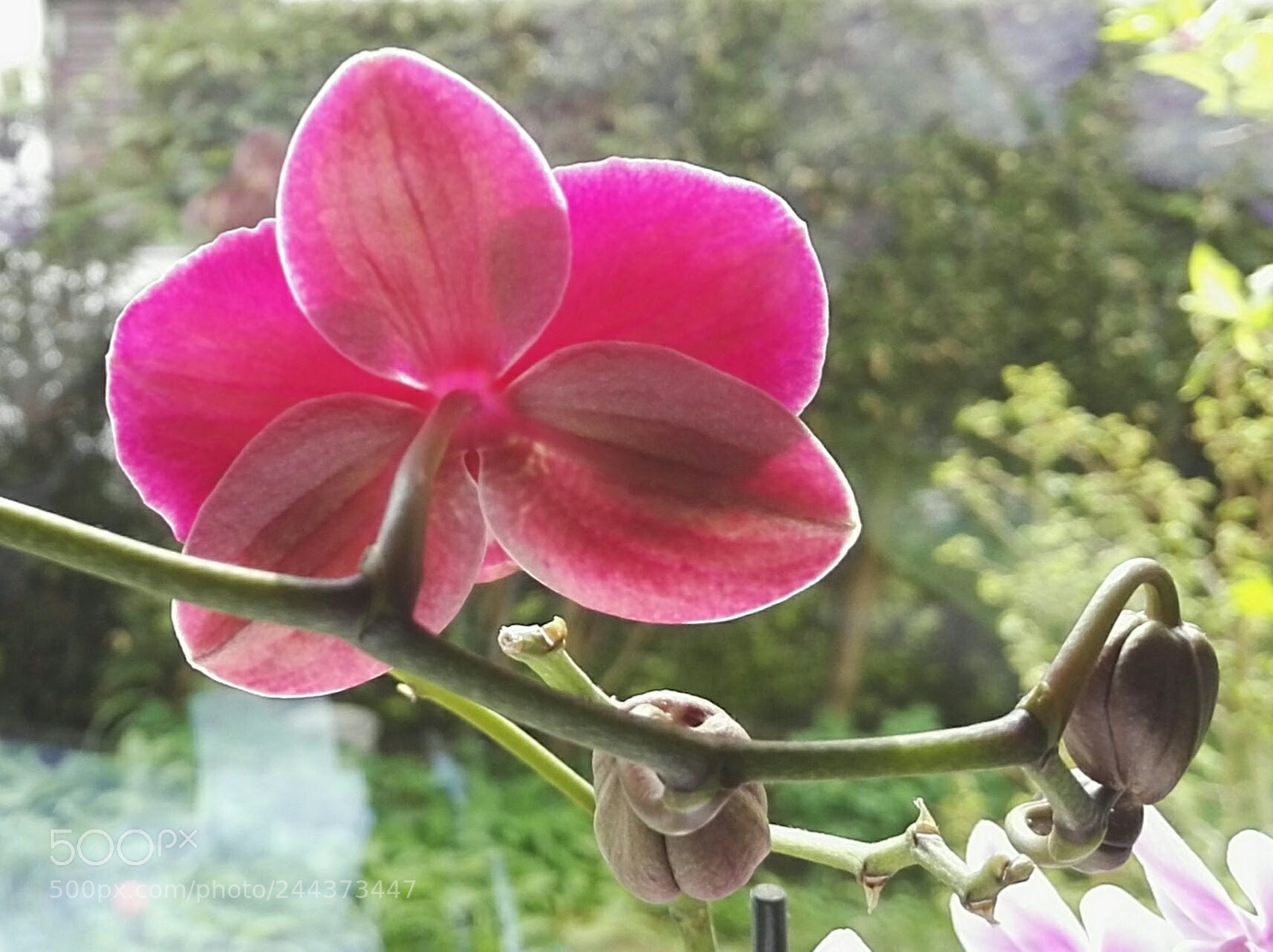 HUAWEI Honor 7 sample photo. Img_20170414_121720.jpg photography