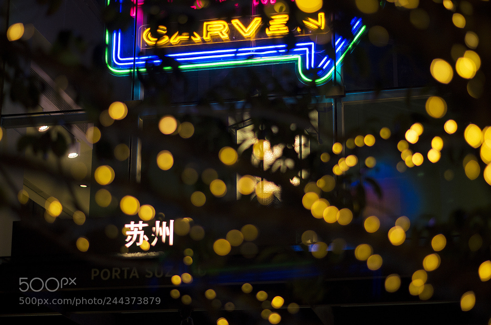 Pentax K-50 sample photo. Untitled photography