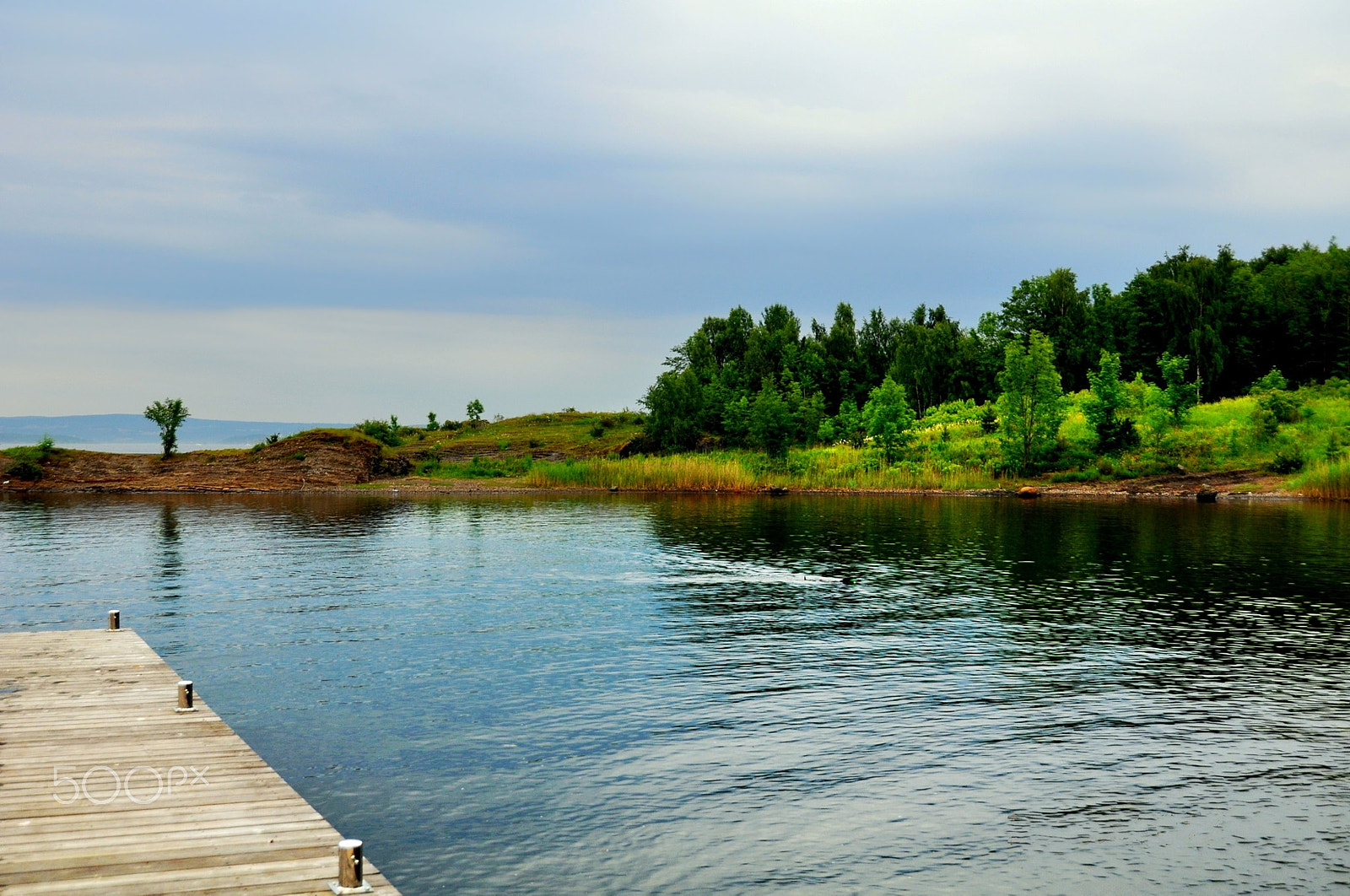 Nikon D5000 sample photo. ... (foto n° 2065) photography