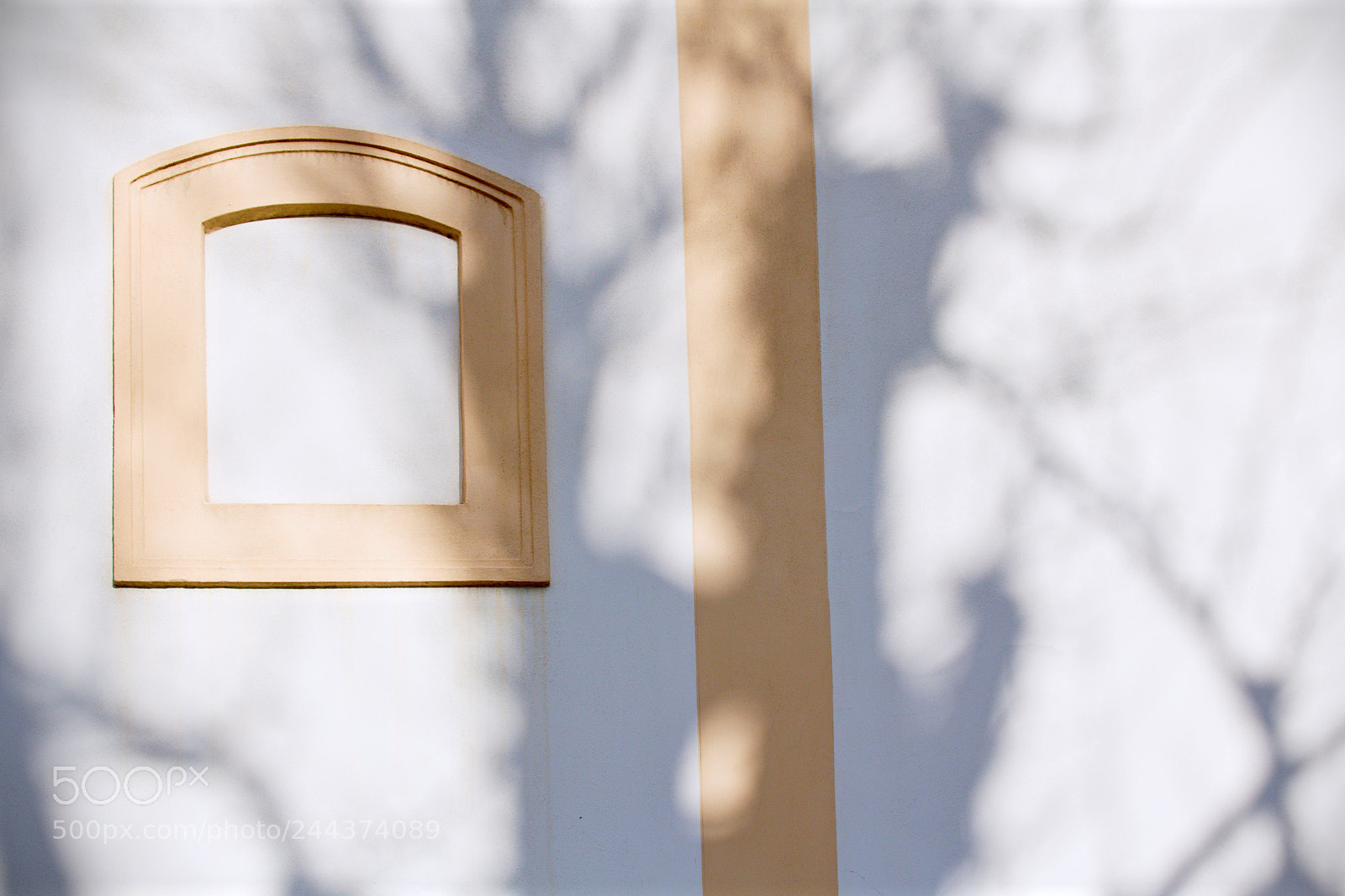 Canon EOS 60D sample photo. Tree photography