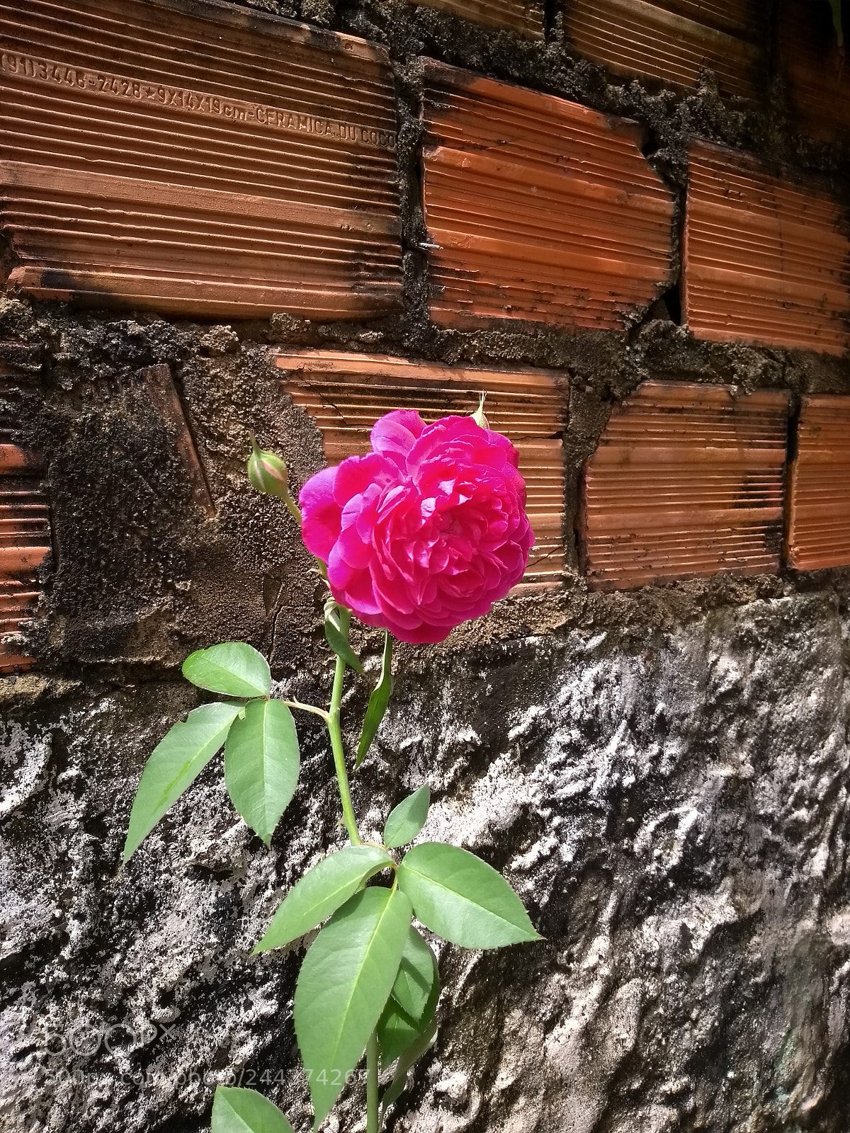 Motorola Moto G (5S) sample photo. Untitled photography