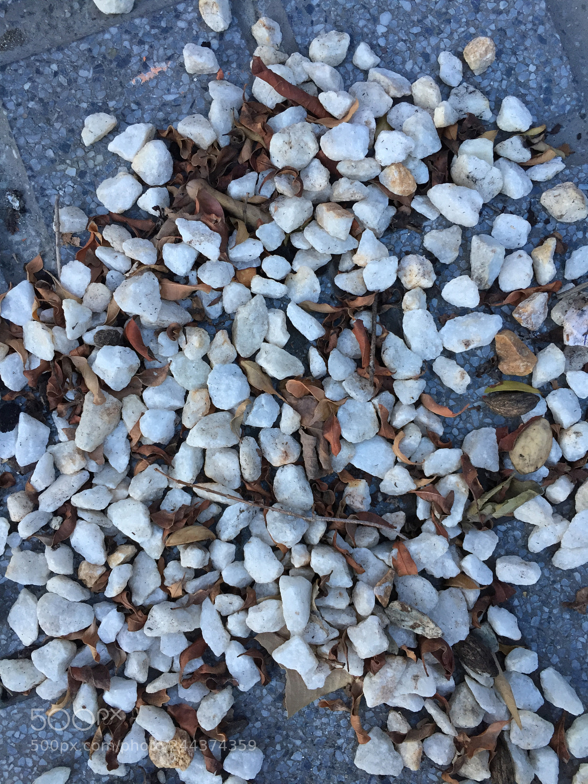 Apple iPhone 6 sample photo. Untitled photography