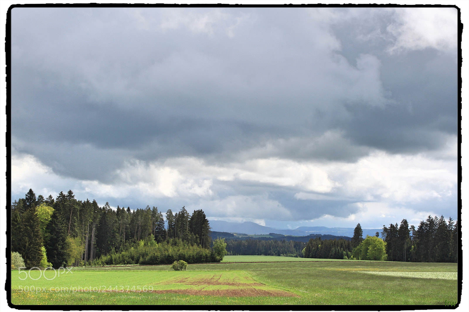 Canon EOS 500D (EOS Rebel T1i / EOS Kiss X3) sample photo. Am rande des schwarzwaldes photography