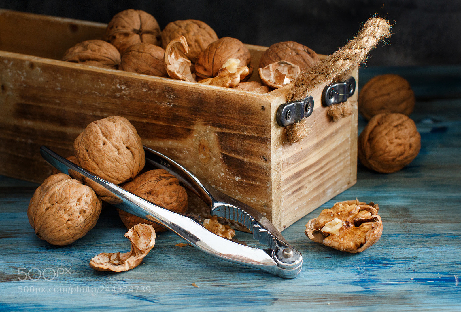 Canon EOS 650D (EOS Rebel T4i / EOS Kiss X6i) sample photo. Fresh walnuts on a photography