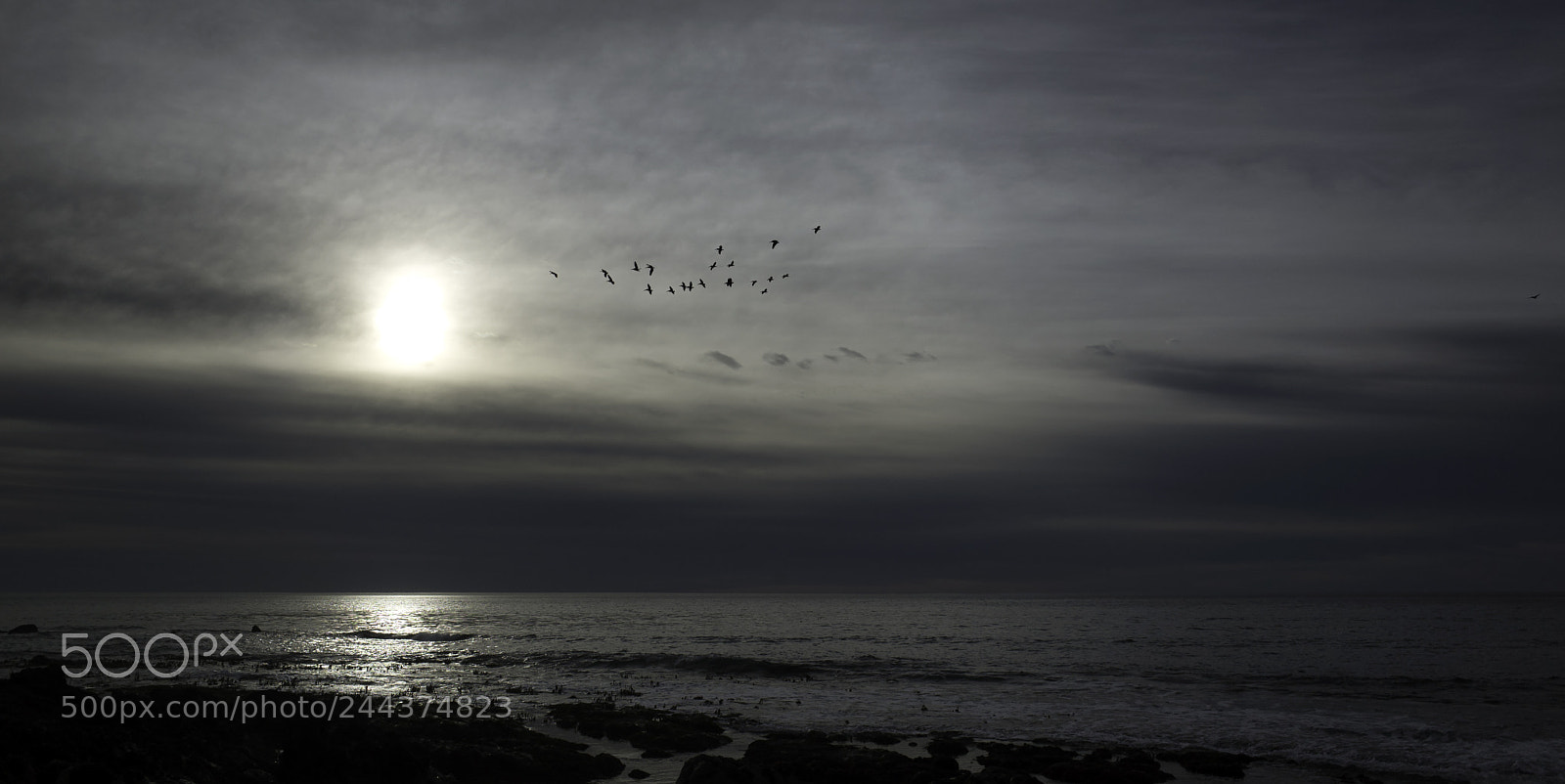 Ricoh GR sample photo. Flyby photography