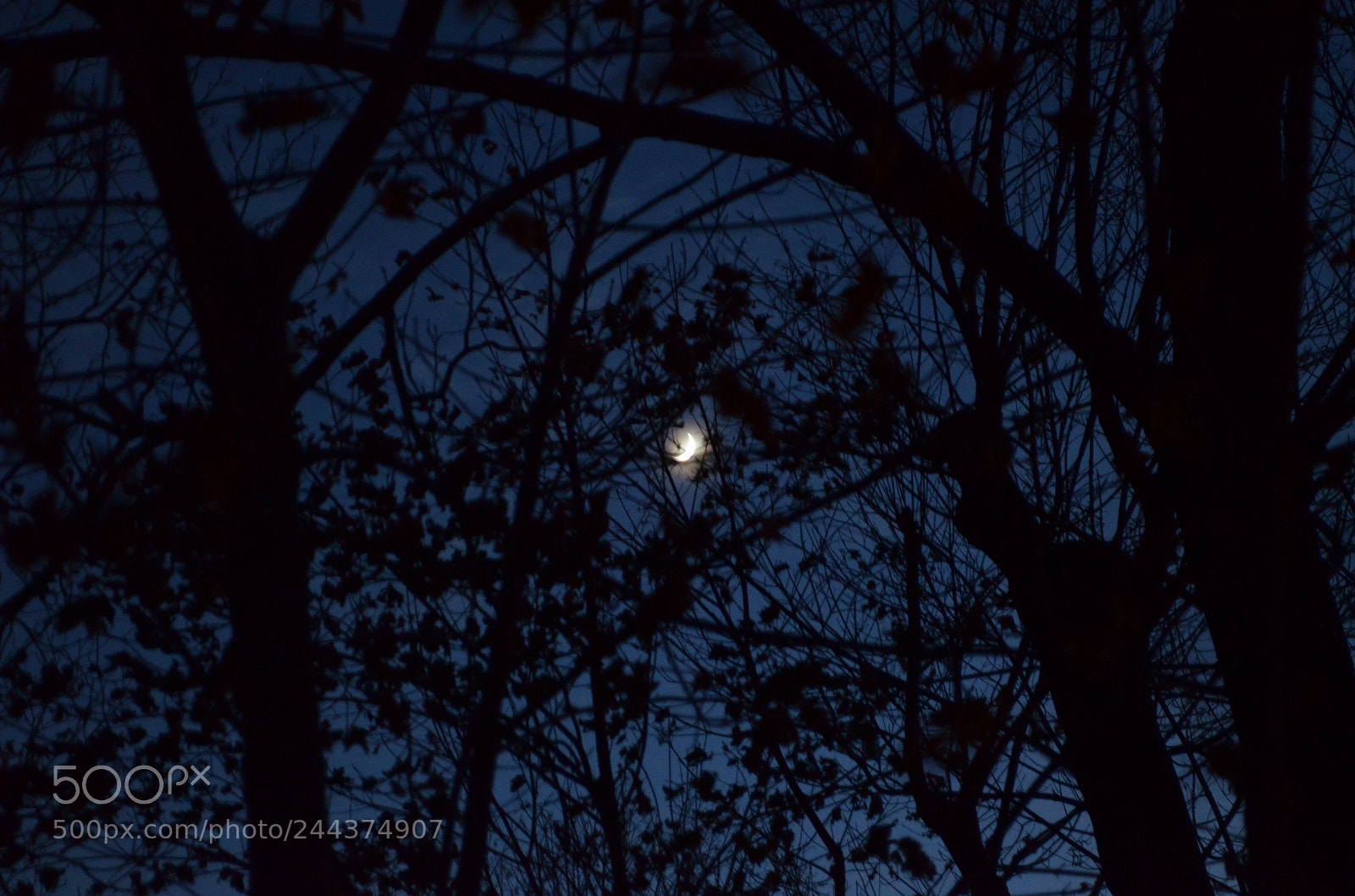 Nikon D5100 sample photo. November moon photography