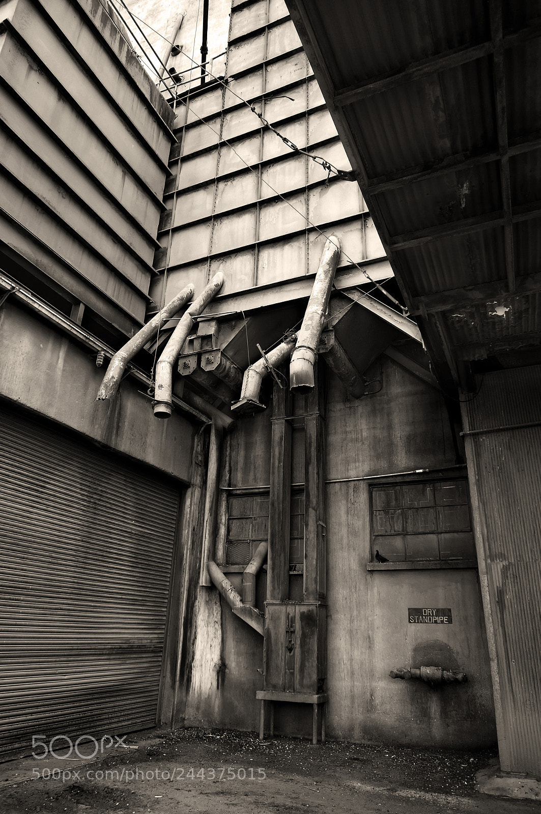 Sony Alpha NEX-3N sample photo. Pipes photography