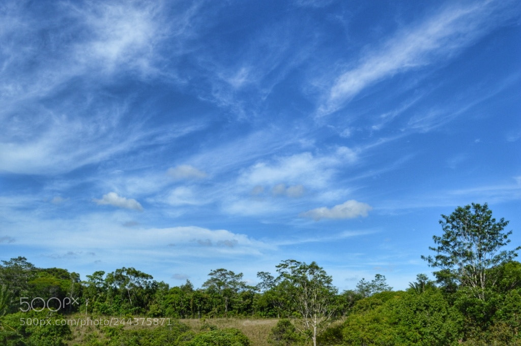 Nikon D3200 sample photo. [] photography