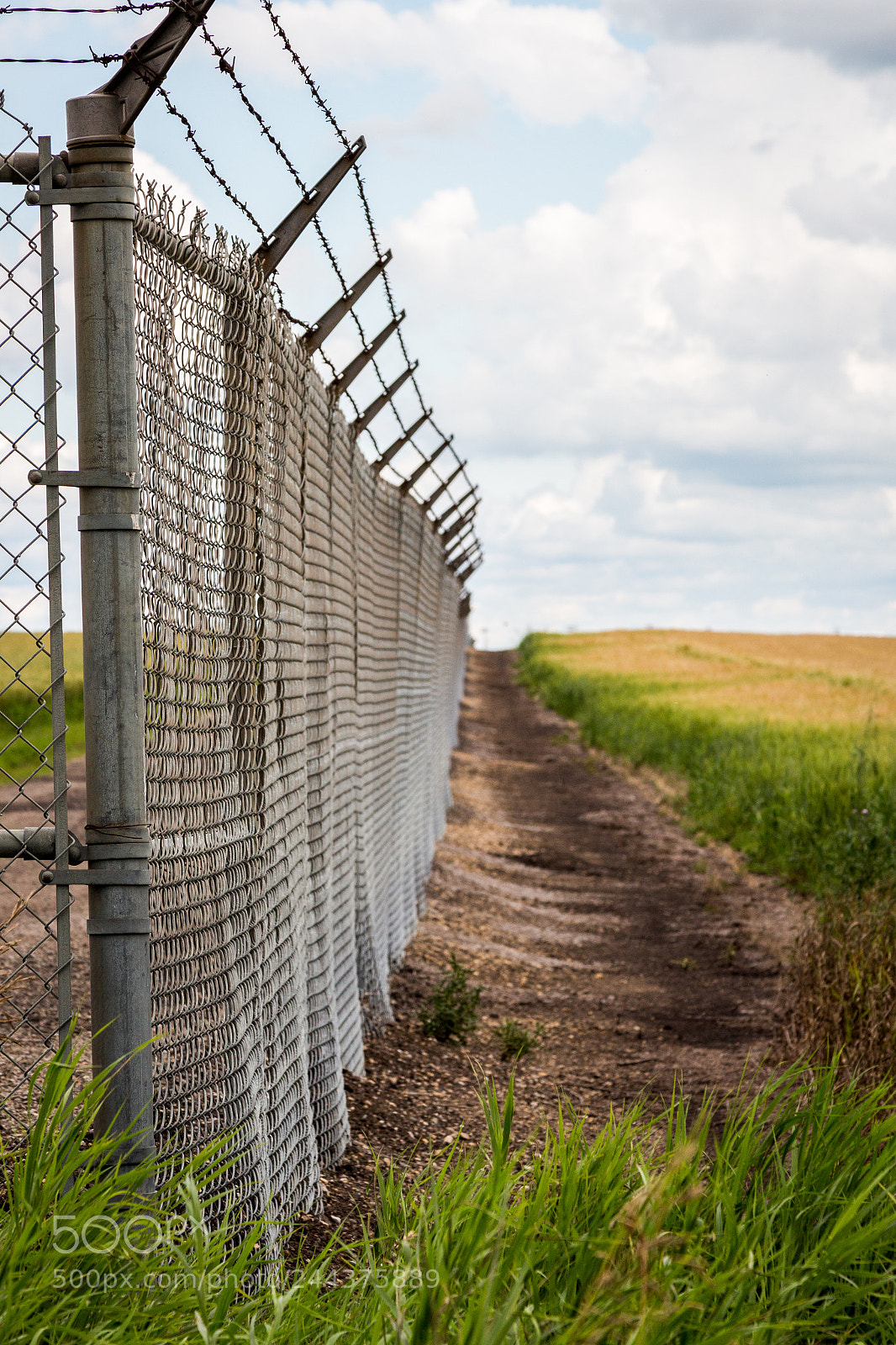 Canon EOS 700D (EOS Rebel T5i / EOS Kiss X7i) sample photo. Old, warped security fence photography