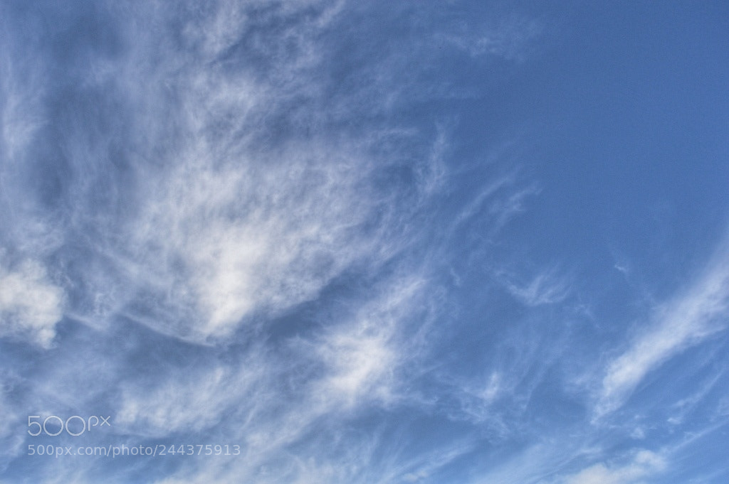Nikon D3200 sample photo. [] photography