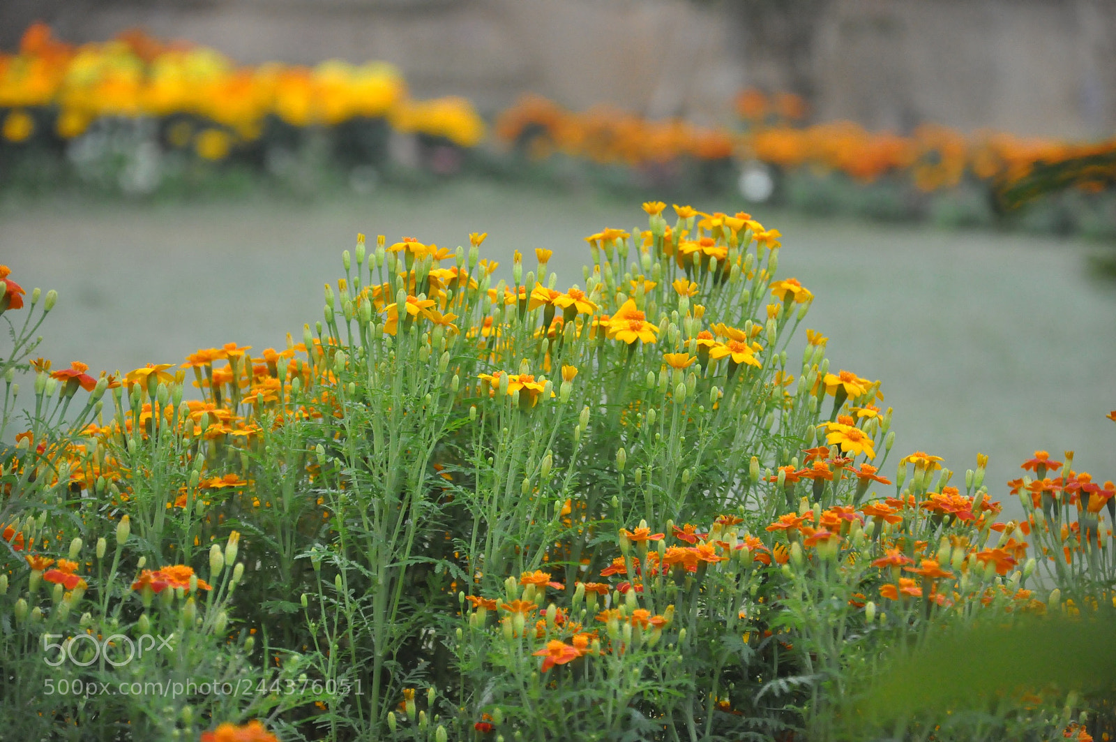 Nikon D90 sample photo. Untitled photography