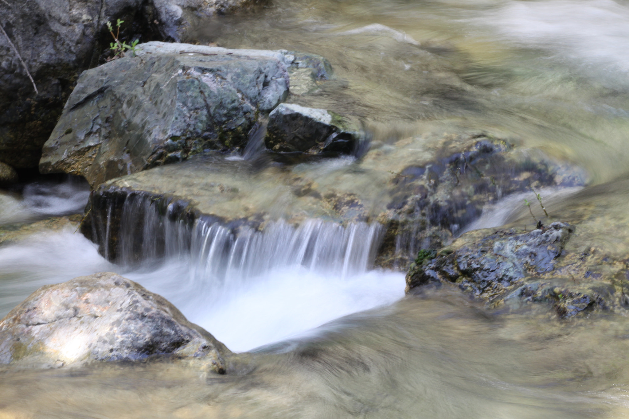 Sigma APO Macro 150mm f/2.8 EX DG HSM sample photo. Img photography